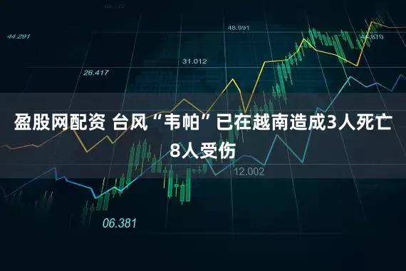 盈股网配资 台风“韦帕”已在越南造成3人死亡8人受伤