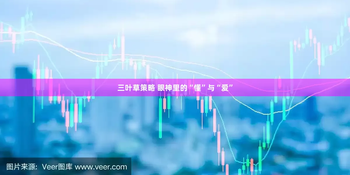 三叶草策略 眼神里的“懂”与“爱”