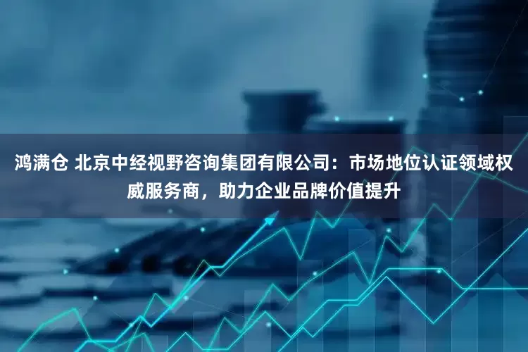 鸿满仓 北京中经视野咨询集团有限公司：市场地位认证领域权威服务商，助力企业品牌价值提升
