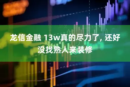 龙信金融 13w真的尽力了, 还好没找熟人来装修