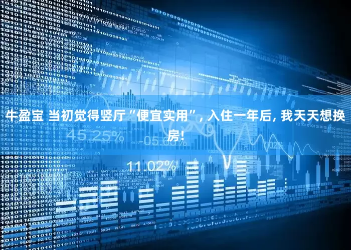 牛盈宝 当初觉得竖厅“便宜实用”, 入住一年后, 我天天想换房!